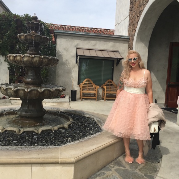 Meet your Posher, Cinnamon & Victor - Picture 2 of 3